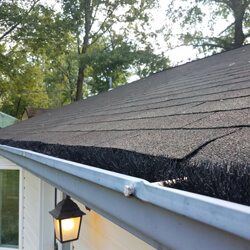 Black Pipe Cleaner In Cleaned Gutter With Roof Of House